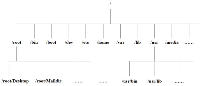 Linux系统目录